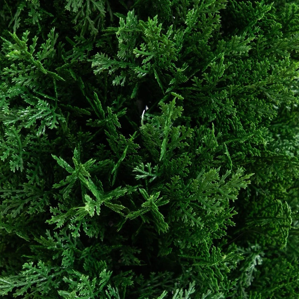 4’ Artificial Cedar Plant with Integrated Ground Stake UV Resistant Set of 2.
